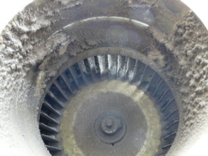 ...a útrob ventilátoru po sedmi letech denního používání...